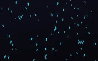 Neonline Petals II — dark teal, pink and black floral background, variation II