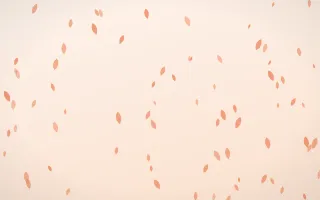 Peach Fuzz Petals — light orange and white floral background