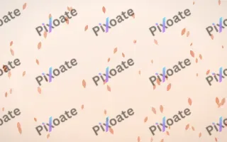Peach Fuzz Petals — light orange and white floral background