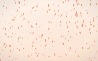 Peach Fuzz Petals Dense — light orange and white floral background