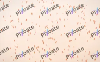 Peach Fuzz Petals Dense II — light orange and white floral background, variation II