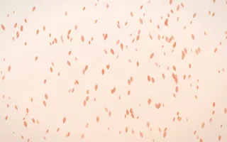 Peach Fuzz Petals Dense III — light orange and white floral background, variation III