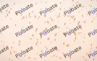 Peach Fuzz Petals Dense III — light orange and white floral background, variation III