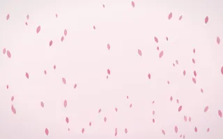 Rosewater Petals — light pink and white floral background