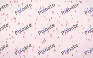 Rosewater Petals Dense — light pink and white floral background