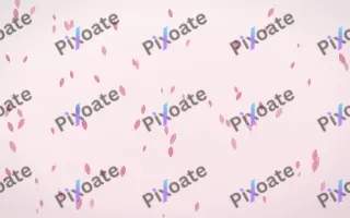 Rosewater Petals II — light pink and white floral background, variation II