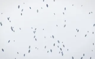 Slate Mist Petals — light blue and white floral background