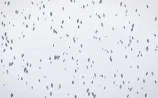 Slate Mist Petals Dense II — light blue and white floral background, variation II