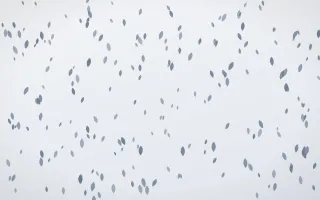 Slate Mist Petals Dense III — light blue and white floral background, variation III