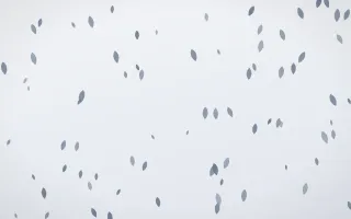 Slate Mist Petals II — light blue and white floral background, variation II