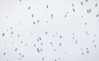 Slate Mist Petals III — light blue and white floral background, variation III