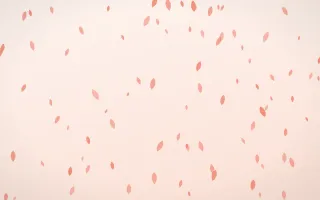 Sorbet Petals — light red, orange and white floral background