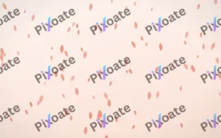 Sorbet Petals II — light red, orange and white floral background, variation II