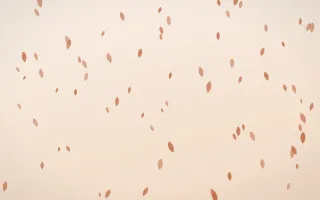 Terracotta Petals — light orange and beige floral background