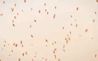 Terracotta Petals III — light orange and beige floral background, variation III
