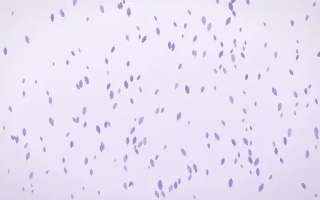 Wisteria Petals Dense — light purple and white floral background