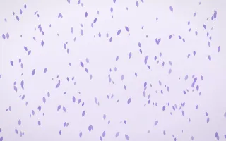 Wisteria Petals Dense II — light purple and white floral background, variation II