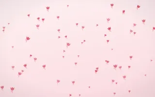 Cherry Soda Tulips II — light red and white floral background, variation II