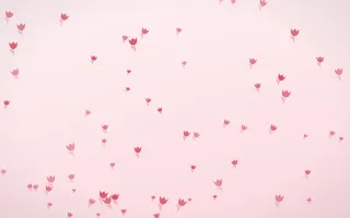 Cherry Soda Tulips III — light red and white floral background, variation III