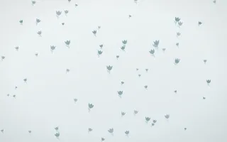 Coastal Fog Tulips — light blue and white floral background
