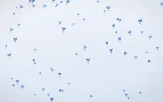 Denim Day Tulips — light blue and white floral background