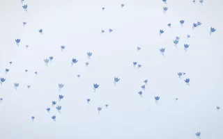 Denim Day Tulips II — light blue and white floral background, variation II