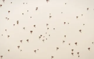 Espresso Tulips II — light brown, orange and beige floral background, variation II