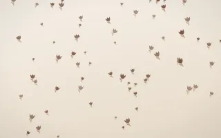 Espresso Tulips III — light brown, orange and beige floral background, variation III