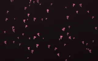 Flamingo Noir Tulips — dark pink and black floral background