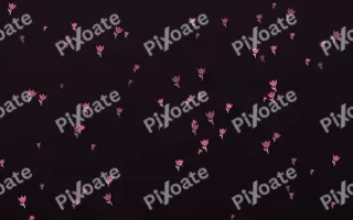 Flamingo Noir Tulips II — dark pink and black floral background, variation II