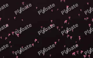 Flamingo Noir Tulips III — dark pink and black floral background, variation III