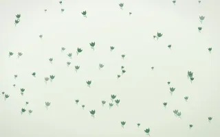 Forest Cream Tulips — light green and white floral background