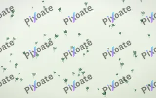 Forest Cream Tulips — light green and white floral background