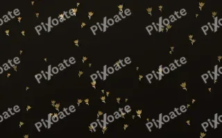 Golden Noir Tulips — dark gold, yellow and black floral background