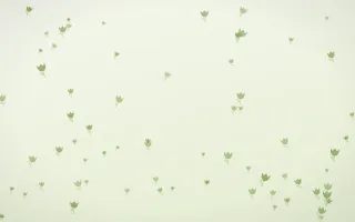 Matcha Latte Tulips — light green and white floral background