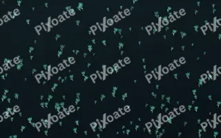 Midnight Garden Tulips Dense — dark green and black floral background