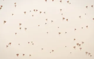 Mocha Milk Tulips — light orange and white floral background
