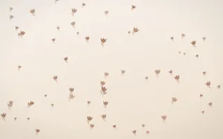 Mocha Milk Tulips II — light orange and white floral background, variation II