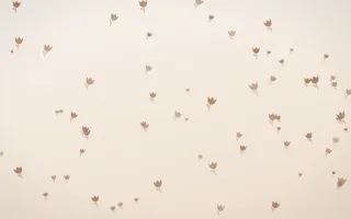 Mocha Milk Tulips III — light orange and white floral background, variation III