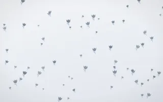 Slate Mist Tulips — light blue and white floral background