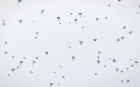 Slate Mist Tulips — light blue and white floral background