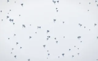 Slate Mist Tulips II — light blue and white floral background, variation II