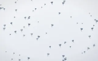 Slate Mist Tulips III — light blue and white floral background, variation III
