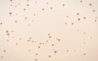 Terracotta Tulips — light orange and beige floral background