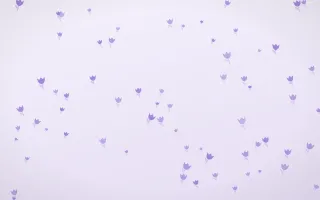 Wisteria Tulips — light purple and white floral background