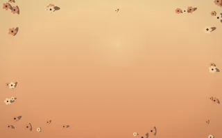 Golden Hour Flower Border — colourful orange and pink flower border background