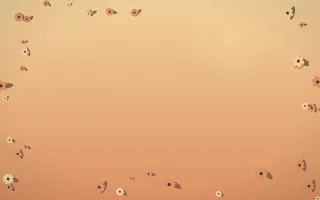 Golden Hour Flower Border II — colourful orange and pink flower border background, variation II