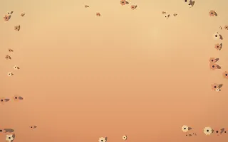 Golden Hour Flower Border V — colourful orange and pink flower border background, variation V