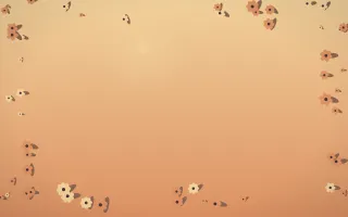 Golden Hour Flower Border X — colourful orange and pink flower border background, variation X