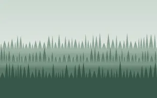 Misty Fir Morning — light grey and green forest background